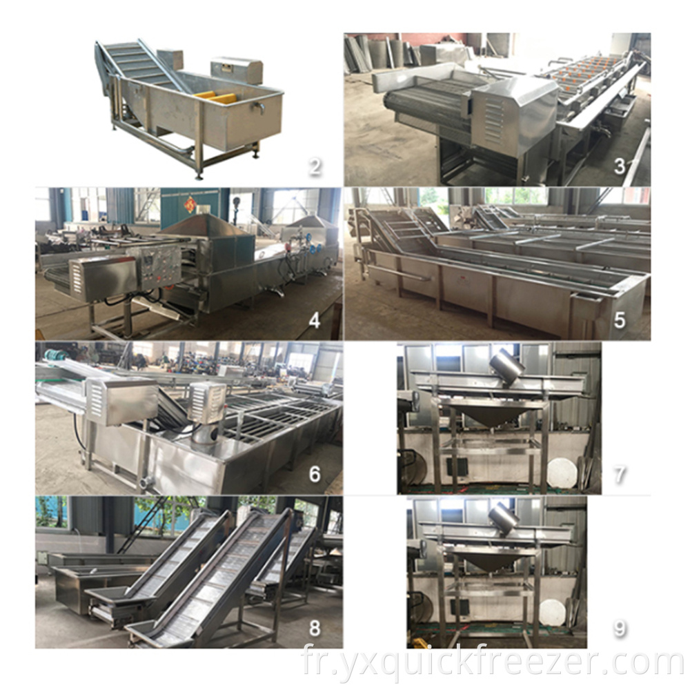 Fruit And Vegetable Production Line1